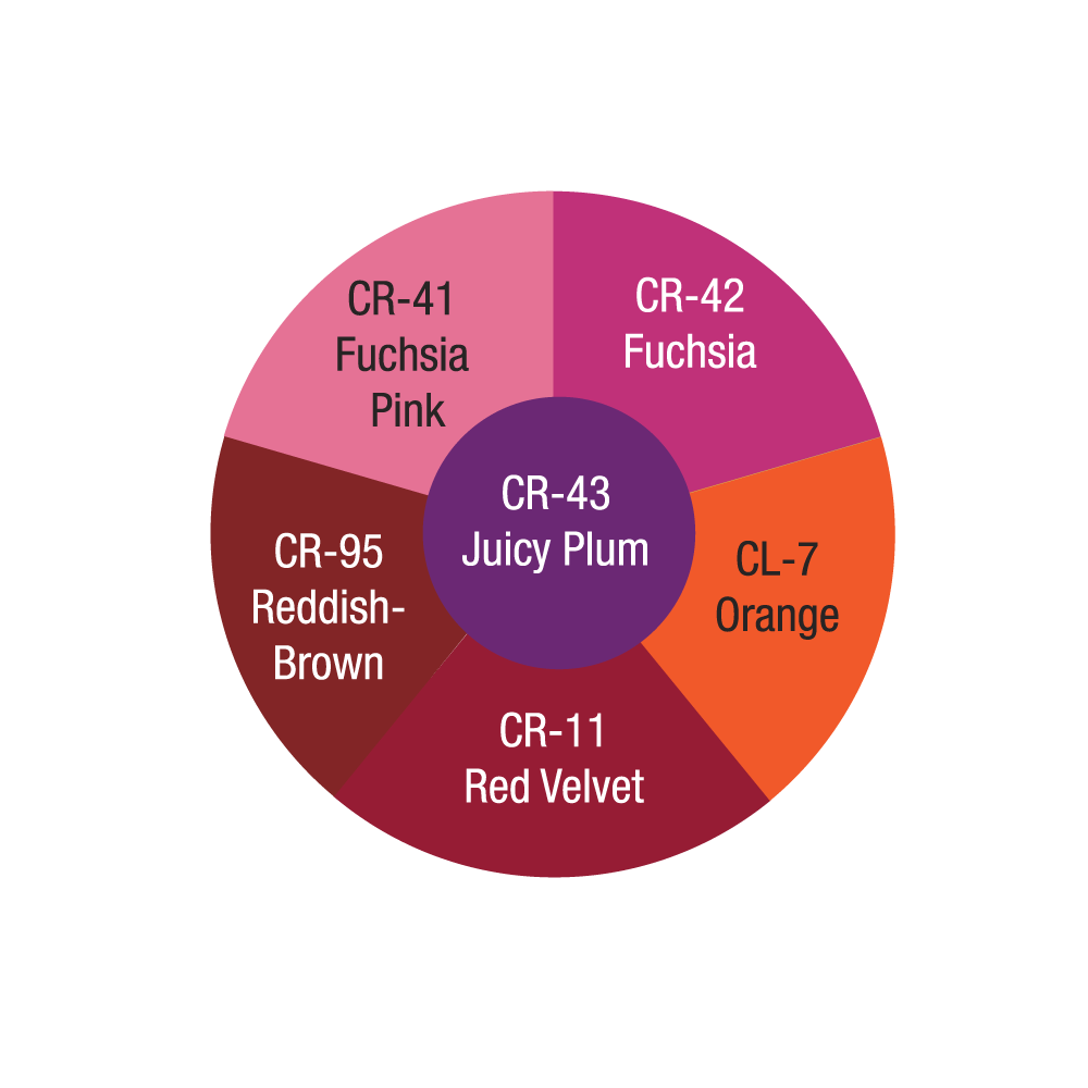 크림블러셔 루즈 휠 브라이츠 Cream Rouge Wheel Brights CR-300