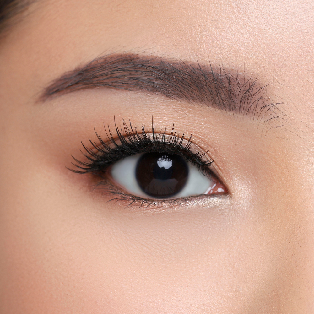 자연스러운 데일리 클래식 속눈썹  14 CLASSIC eyelash