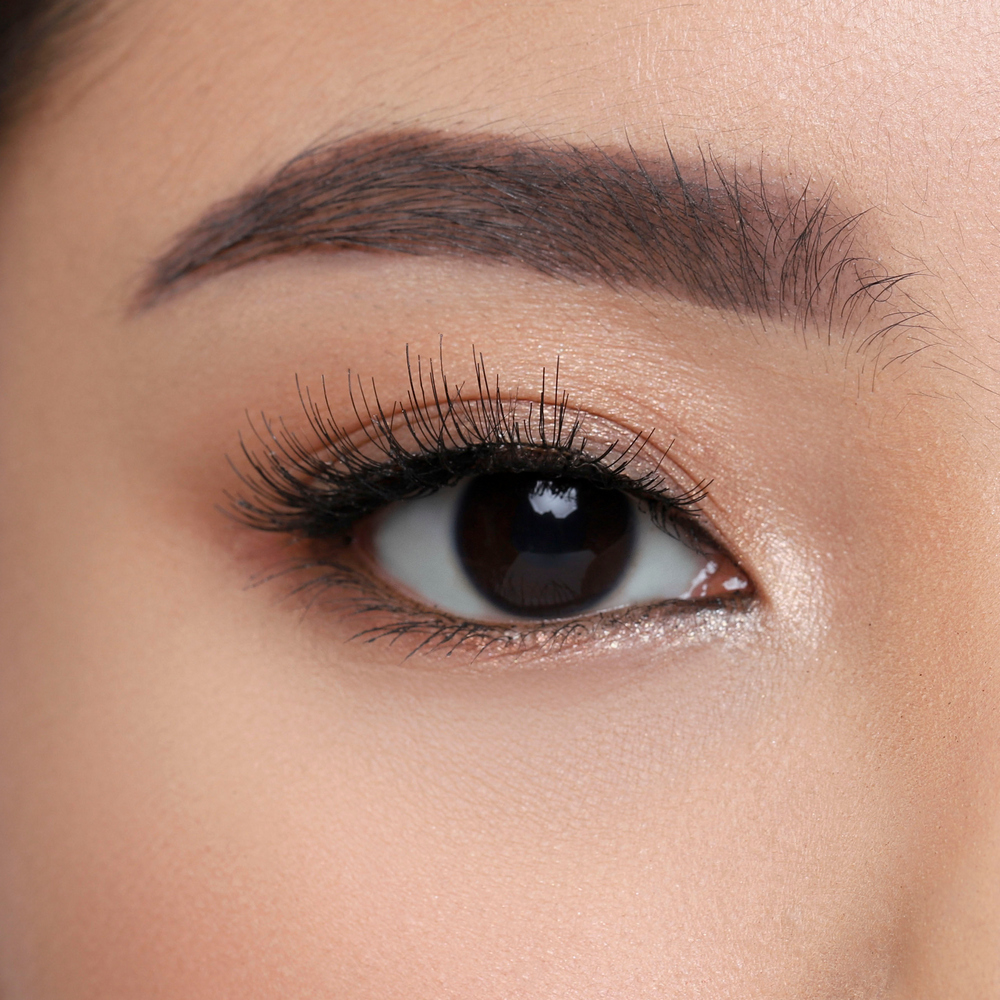 자연스러운 데일리 클래식 속눈썹  4424 CLASSIC eyelash