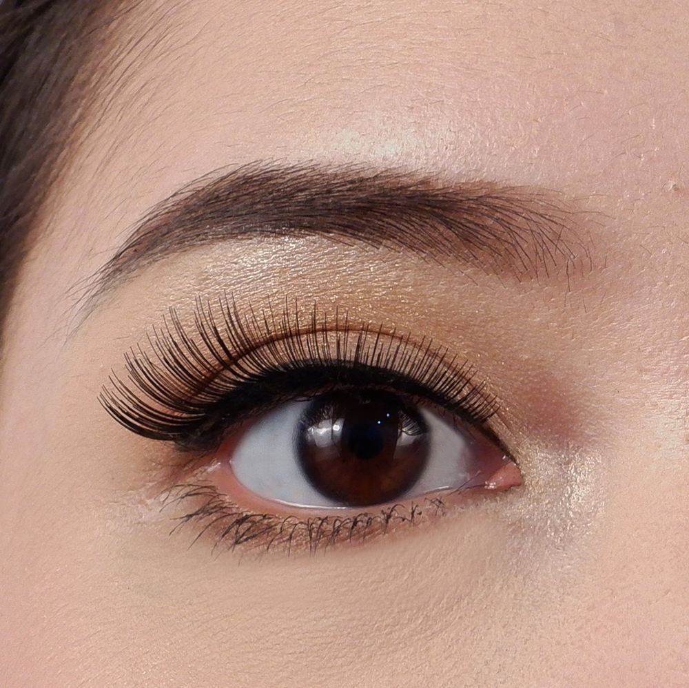 자연스러운 데일리 클래식 속눈썹  5358 CLASSIC eyelash