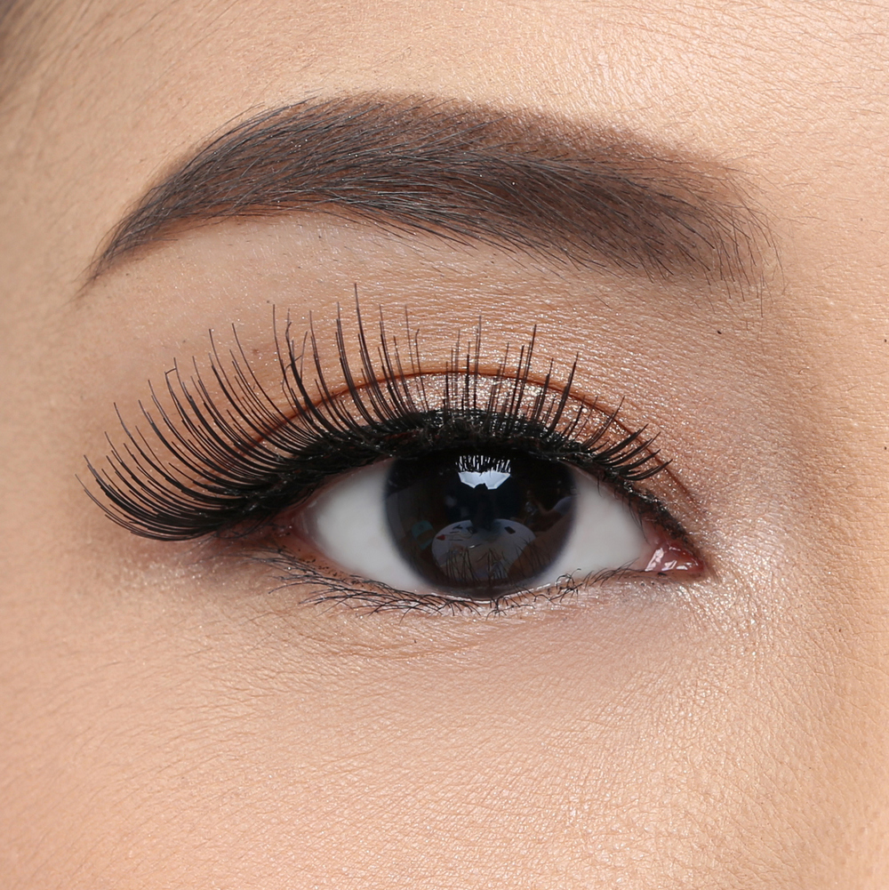 자연스러운 데일리 클래식 속눈썹  5456 CLASSIC eyelash