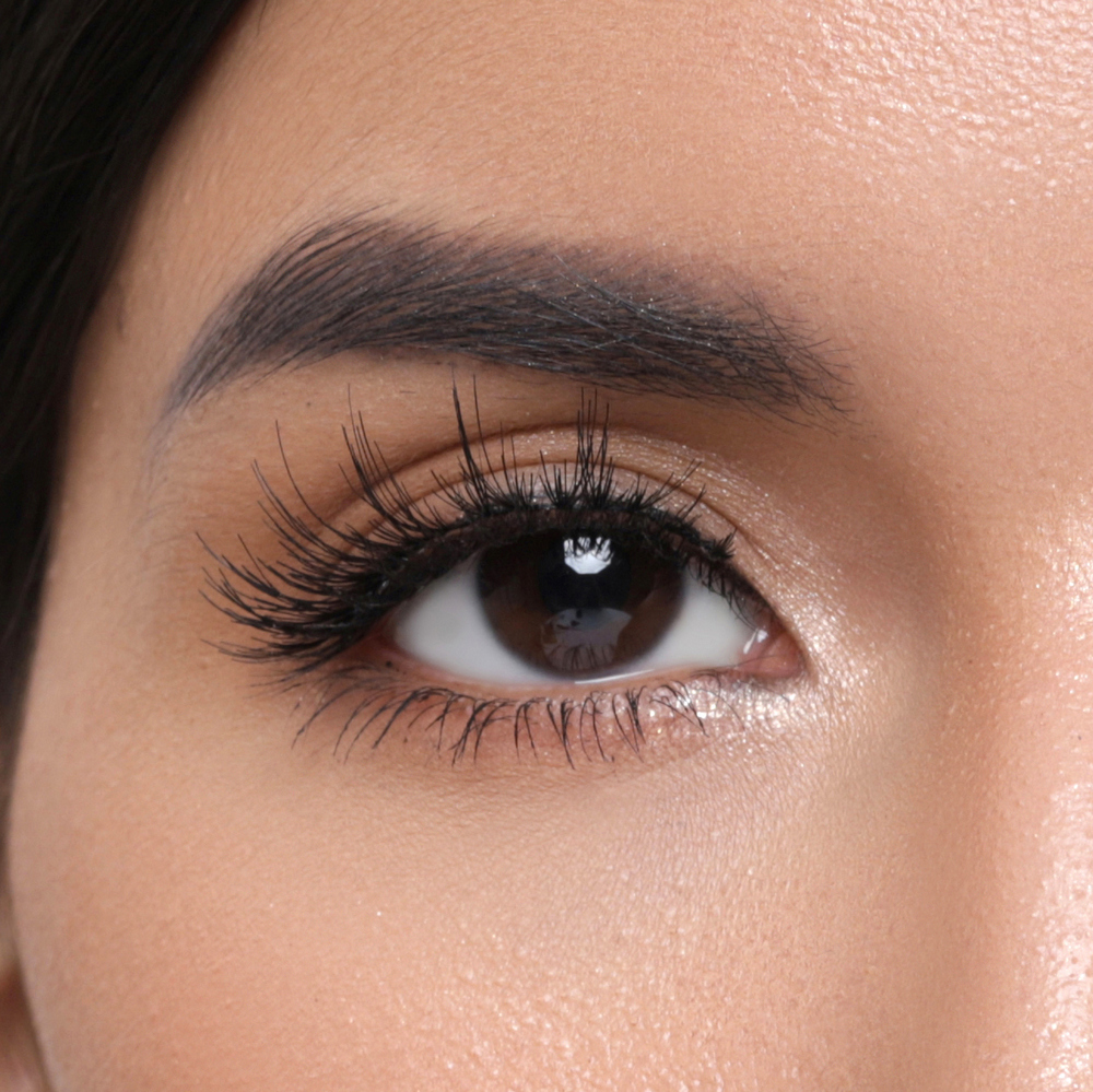 자연스러운 데일리 클래식 속눈썹  6448 CLASSIC eyelash