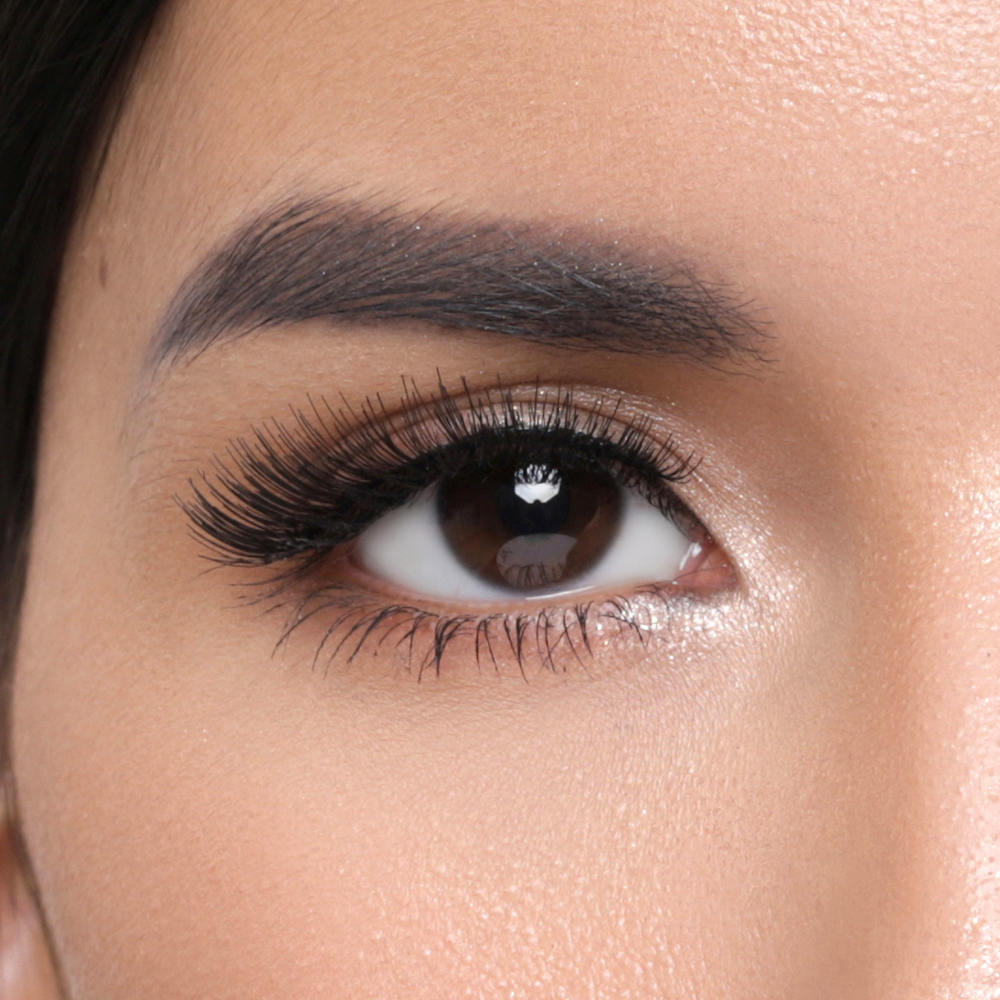 자연스러운 데일리 클래식 속눈썹  816 CLASSIC eyelash