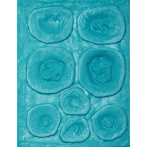 S.O.S II Mold Bullet Plate A 총상 플레이트 몰드 (대)