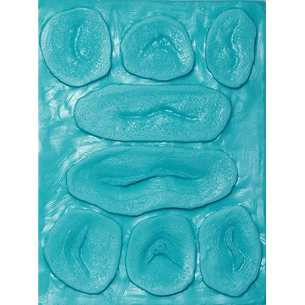 S.O.S II Mold Cuts Plate  C 자상 플레이트 몰드 (대)