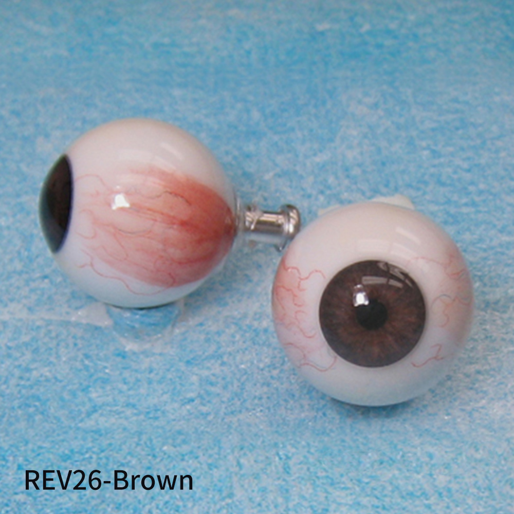 인공안구 Real Eyes (REV,REC)- 마네킨,박물관인형,밀랍인형,로봇용,특수분장용 리얼한디자인의 핸드메이드인공안구