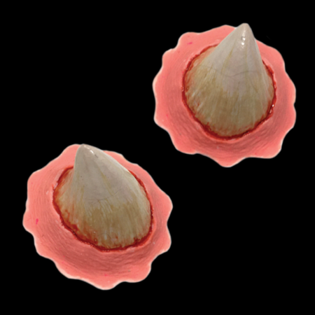 작은뿔 블랙라벨 라텍스 - Black Label Latex 011 Small Horns