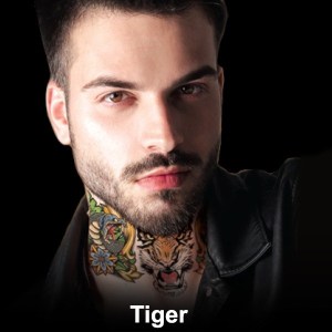 넥타투 타이거 Tiger